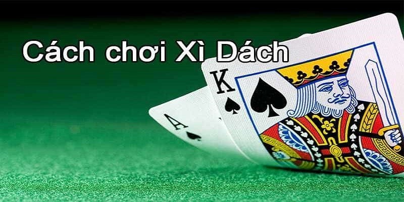 Bí quyết săn thưởng xì dách không thua cho tân thủ